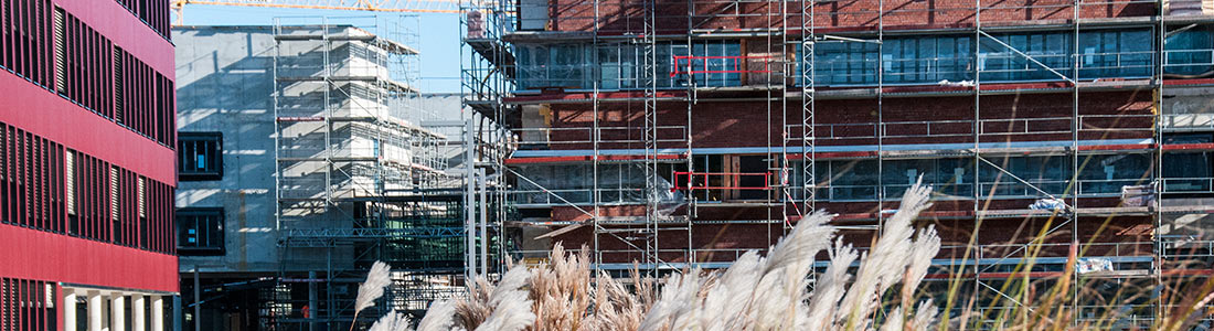 engfle_banner_DSC_4969